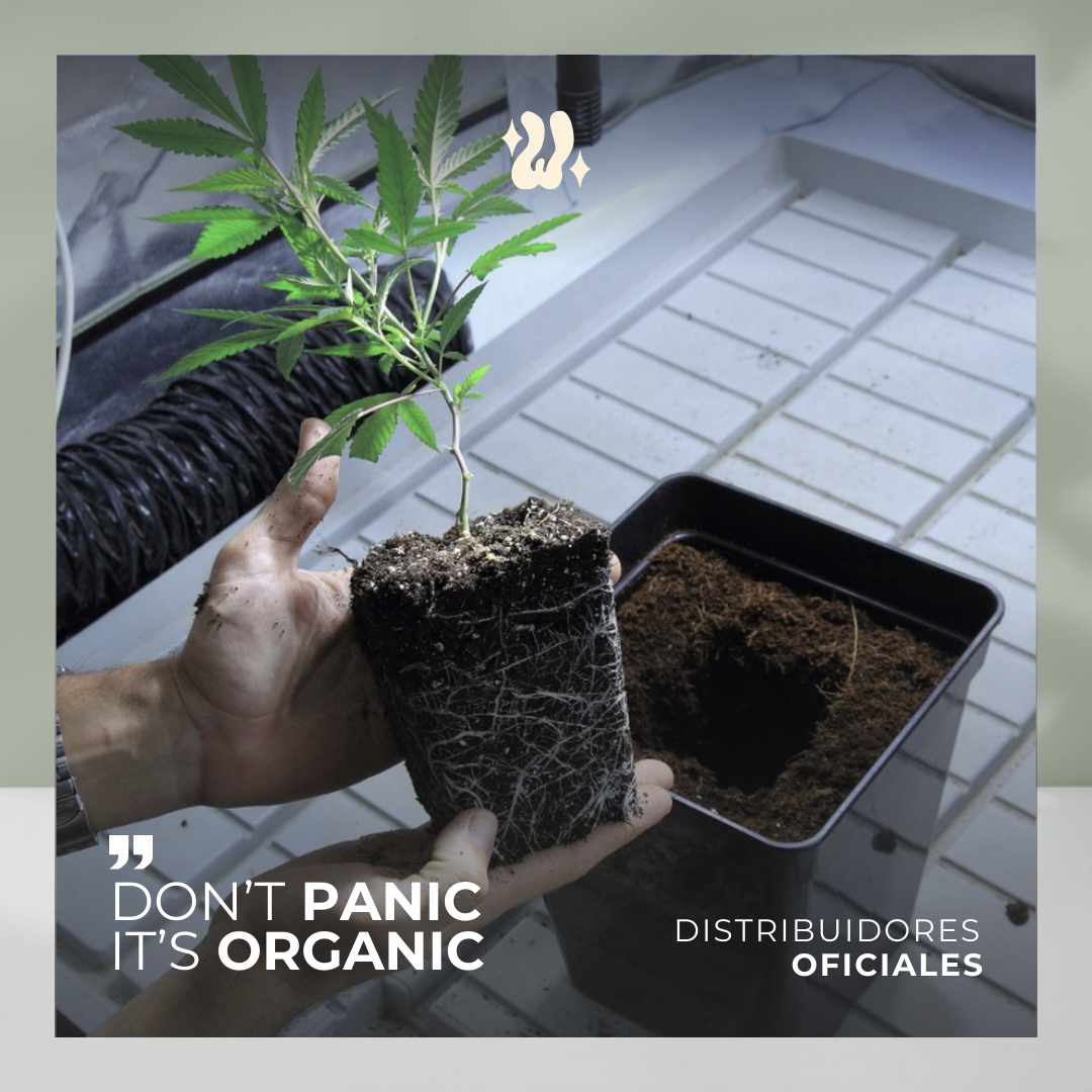 Sustrato 20 Litros | Wana Wid