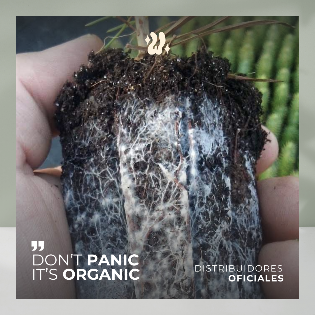 Micorrizas en Polvo | Wana Wid (1000gr)