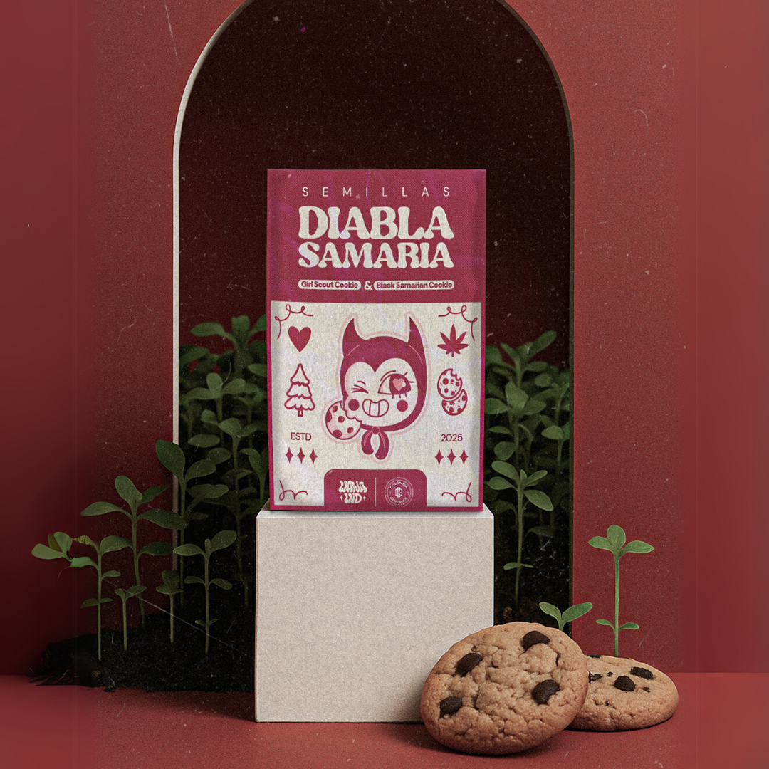 Diabla Samaria | WanaWid (Semillas Feminizadas)