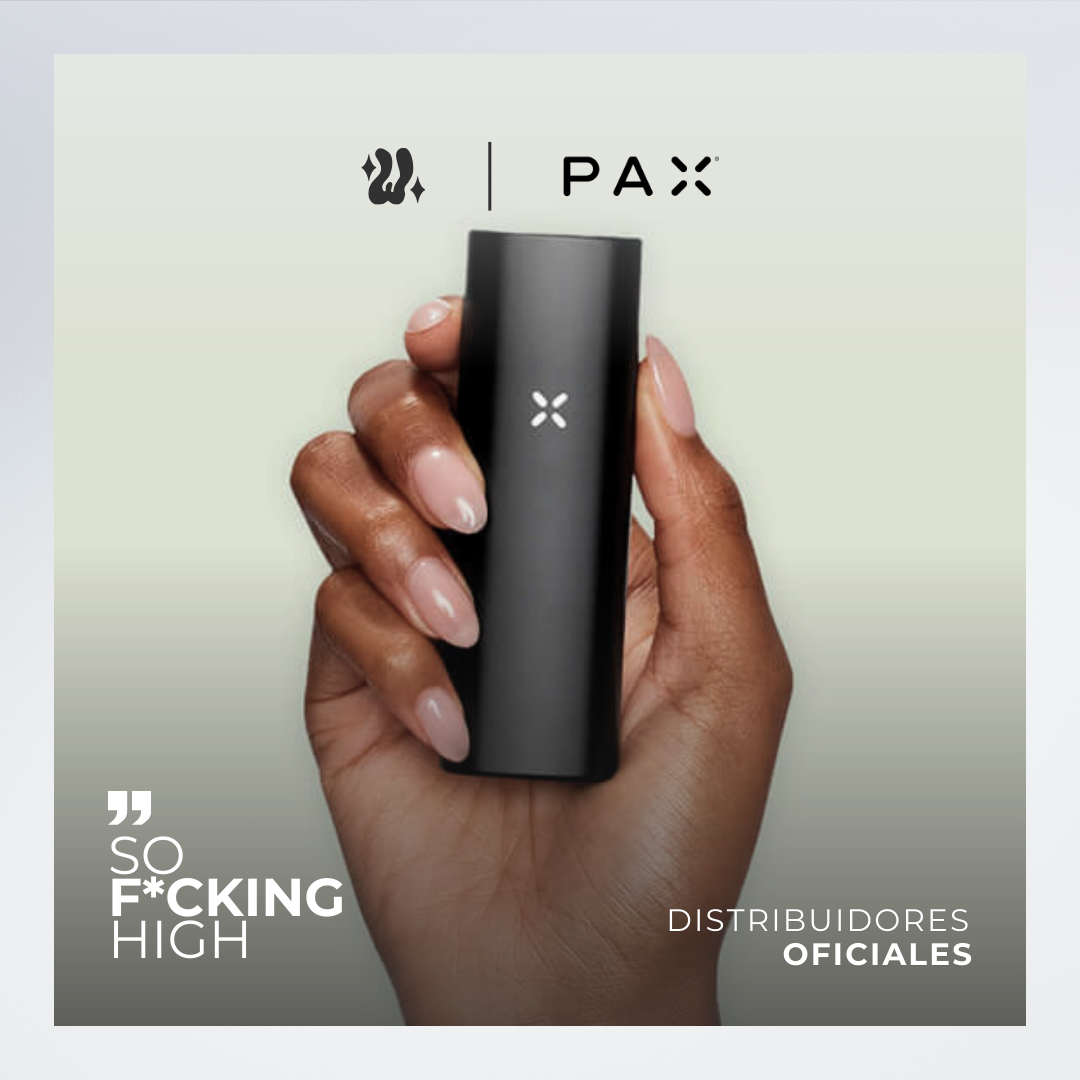 Pax Mini Vaporizador Herbal