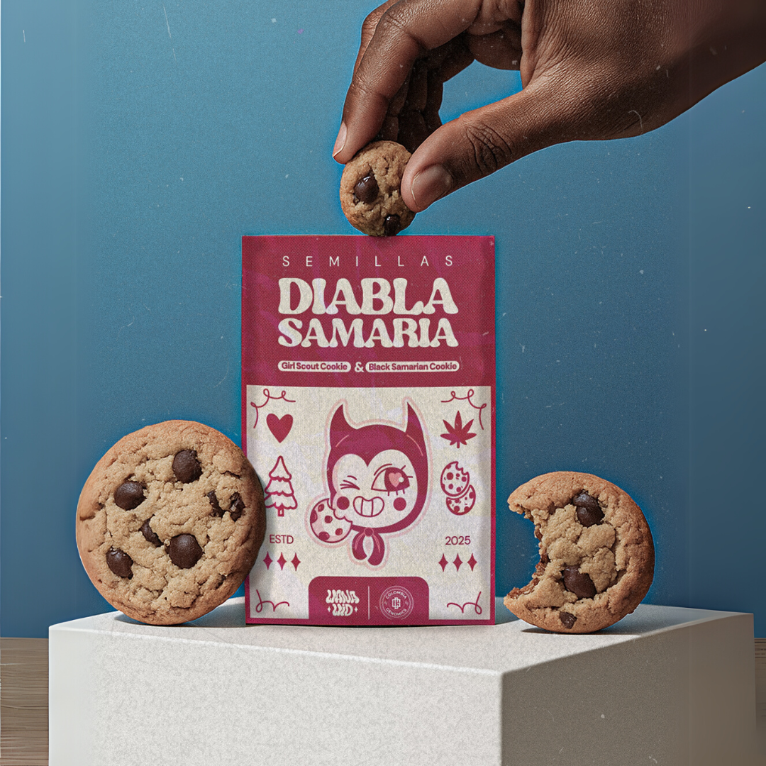 Diabla Samaria | WanaWid (Semillas Feminizadas)