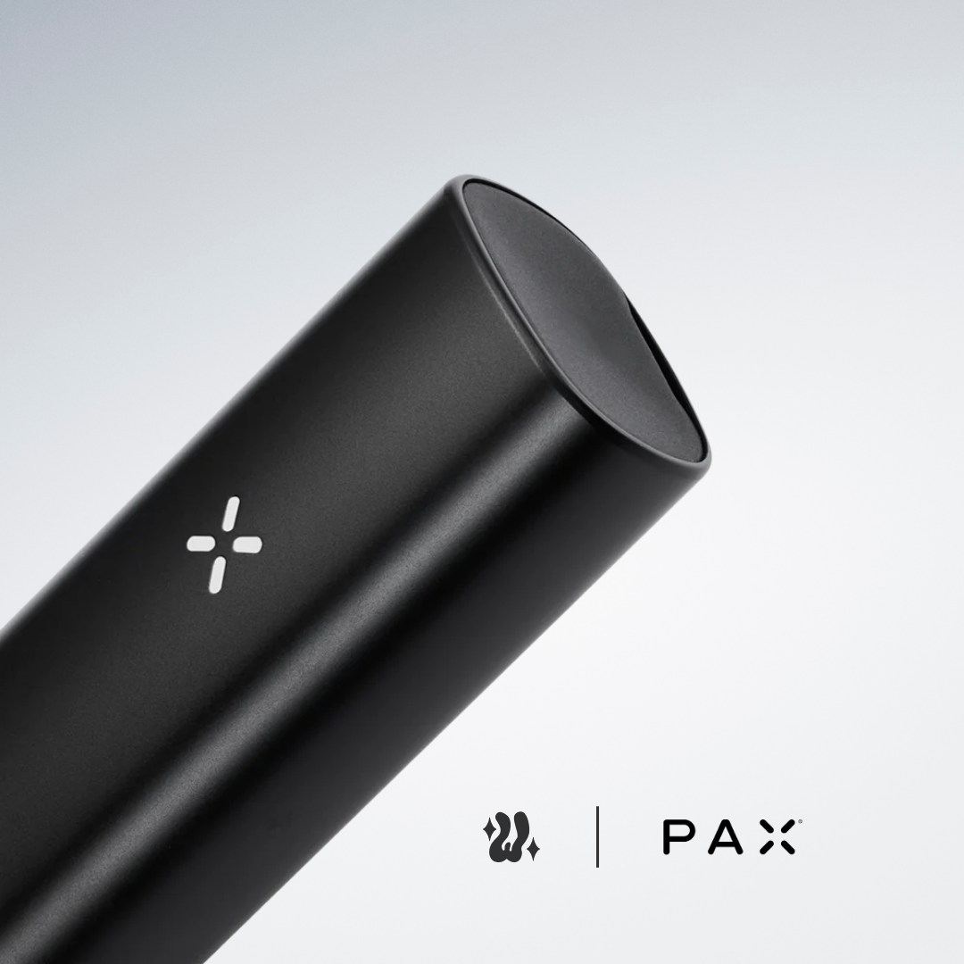 Pax Mini Vaporizador Herbal