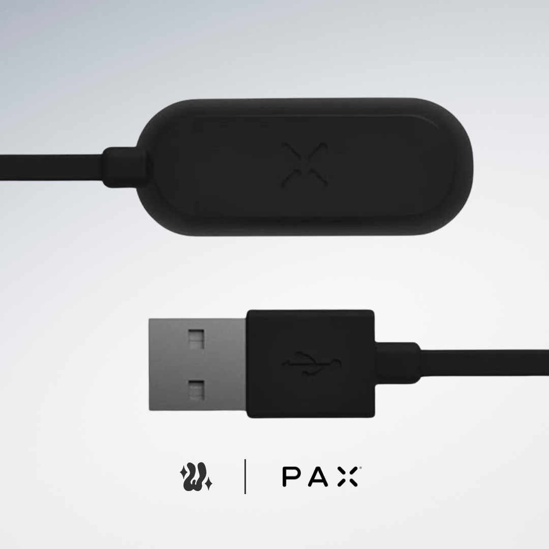 Mini Charger | Cargador PAX