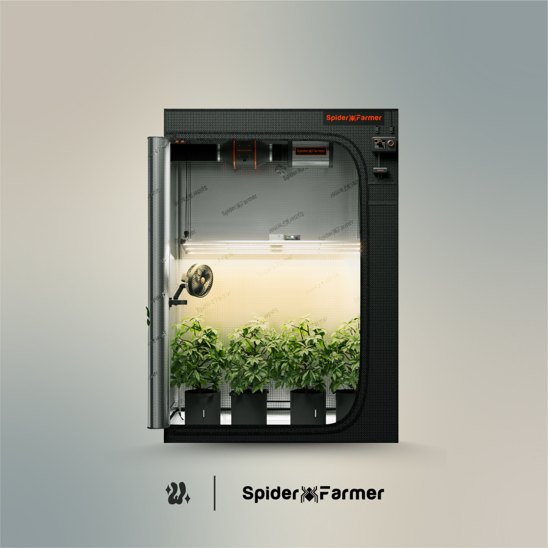 Carpa de 140 × 70 cm con dos ventanas de observación de 30 × 30 cm por fuera