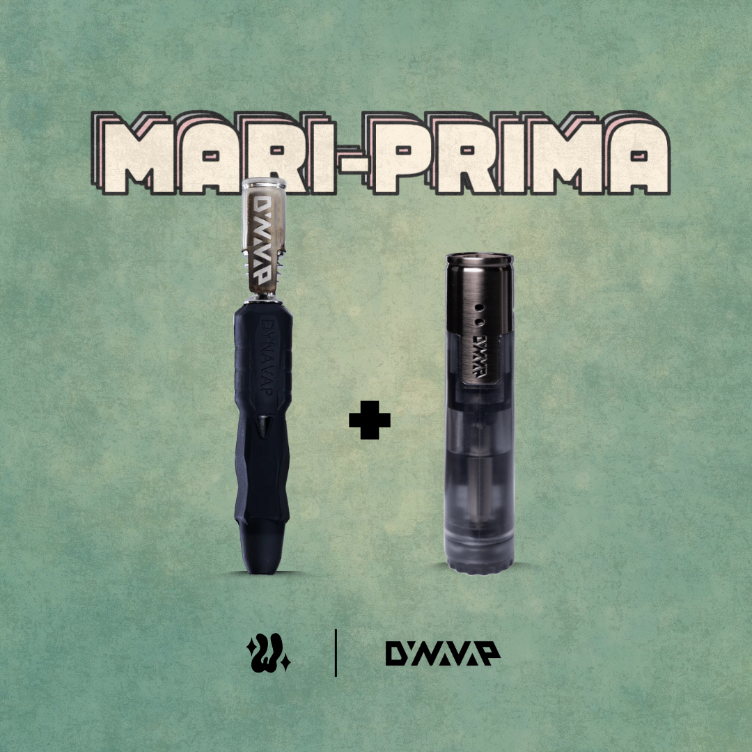Kit Dynavap The B2 + DynaTorch