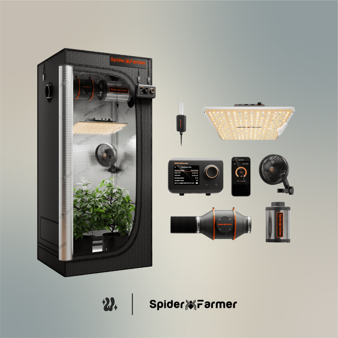 Kit completo de cultivo Spider Farmer SF1000 con carpa de 70 × 70 × 160 cm, panel LED y ventilación de 4 pulgadas