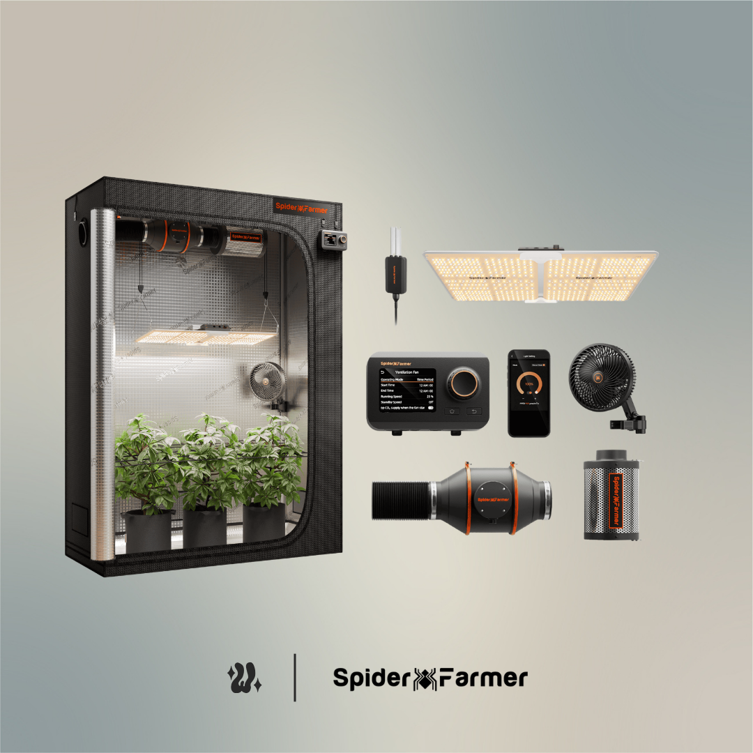 Kit completo de cultivo Spider Farmer SF2000 con carpa de 140 × 70 × 200 cm, panel LED y ventilación de 4 pulgadas