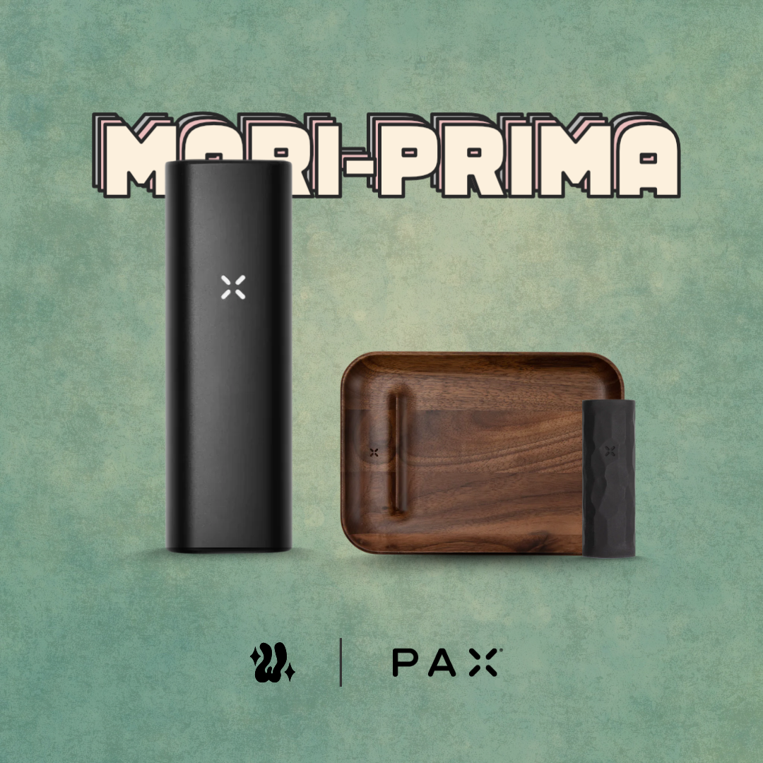 Kit Pax Plus (Complete Kit) + Bandeja de preparación + Funda en silicona | PAX