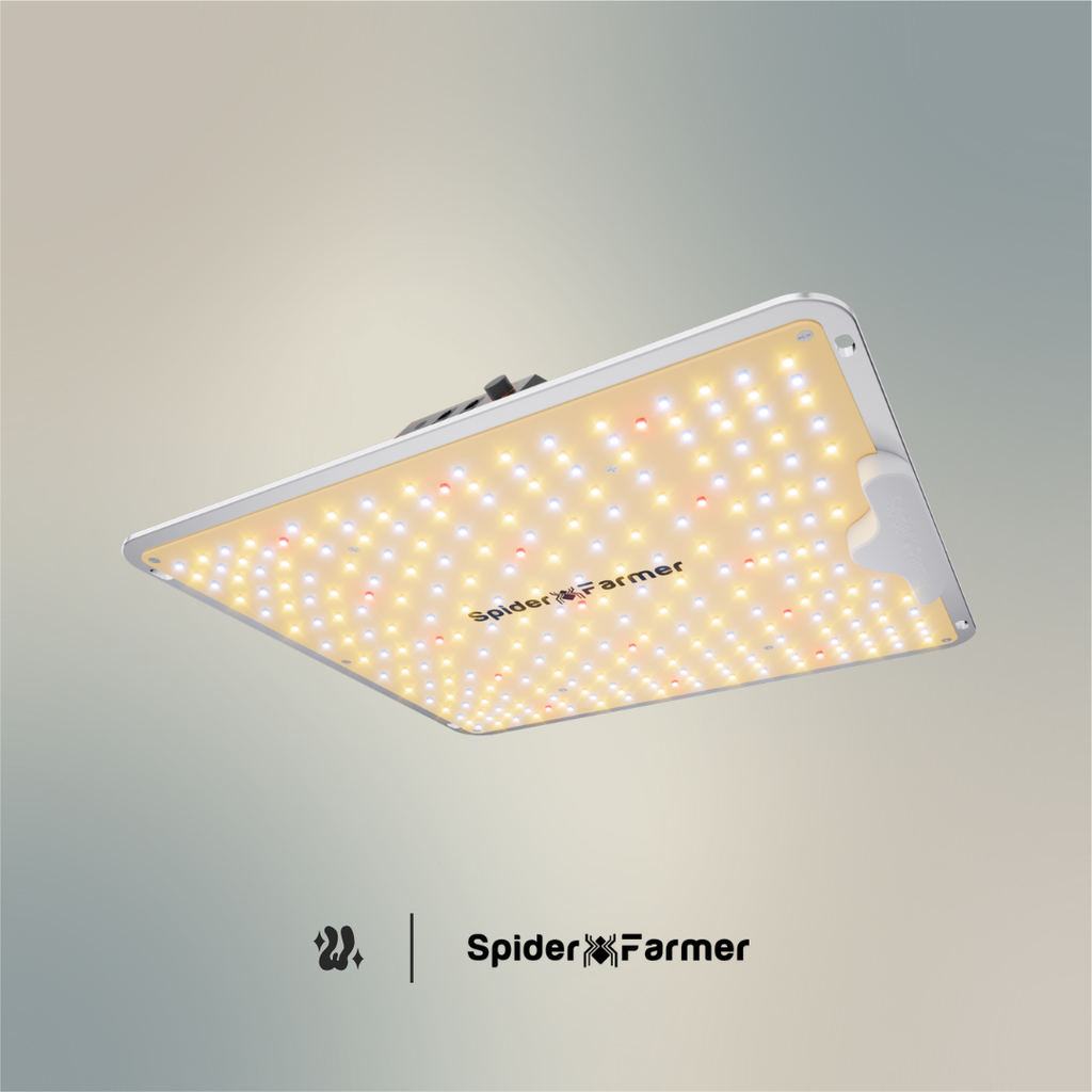 Panel LED Spider Farmer SF1000 de 100 W con diodos Bridgelux y espectro completo