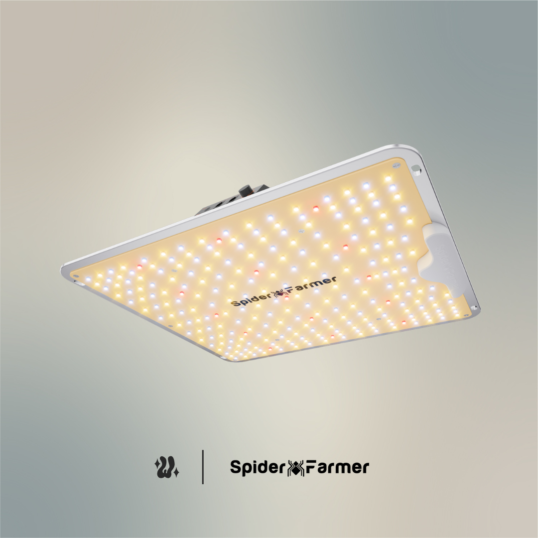 Panel LED Spider Farmer SF1000 de 100 W incluido en el kit, con diodos Bridgelux