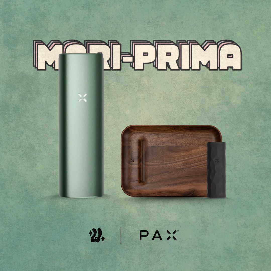 Kit Pax Plus (Complete Kit) + Bandeja de preparación + Funda en silicona | PAX