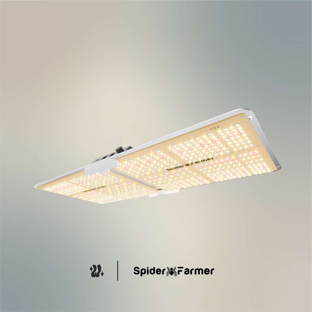 Panel LED Spider Farmer SF2000 de 200 W incluido en el kit, con diodos Bridgelux 3030
