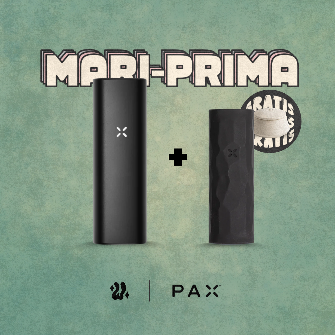 Kit Pax Mini + Funda en silicona | PAX