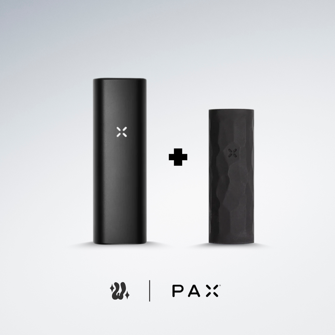 Kit Pax Mini + Funda en silicona | PAX