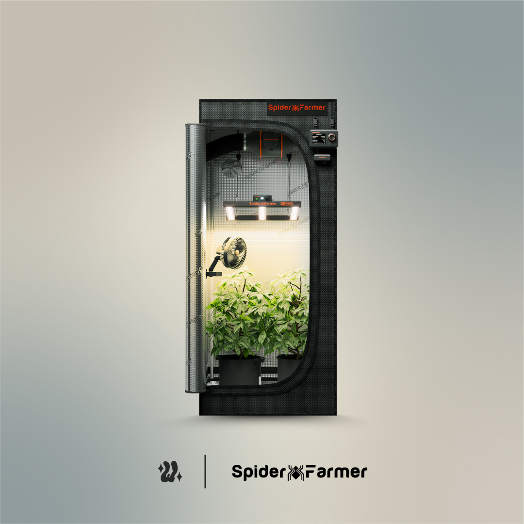 Carpa Spider Farmer con ventana de observación de 30 × 30 cm por fuera