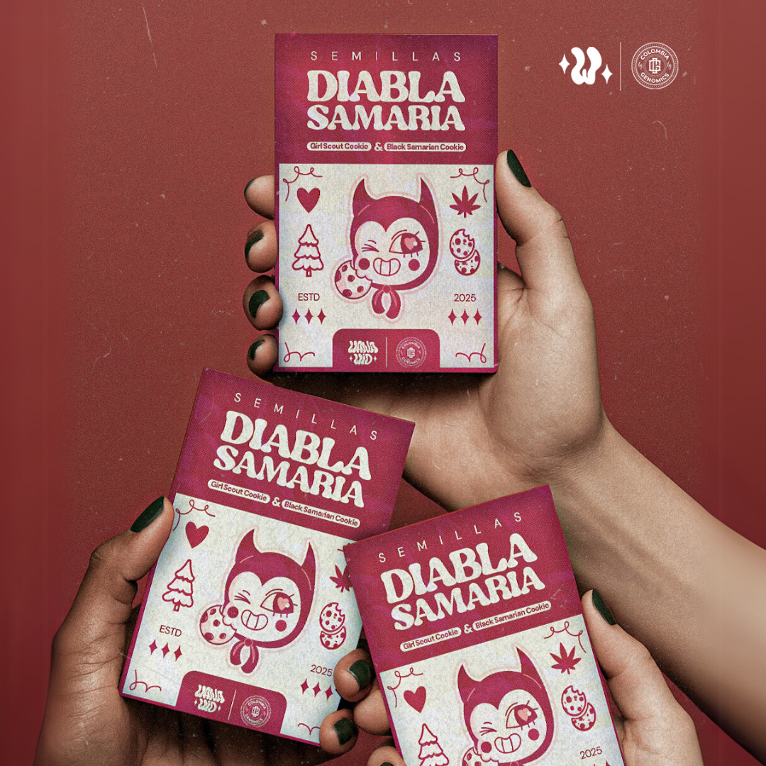 Diabla Samaria | WanaWid (Semillas Feminizadas)