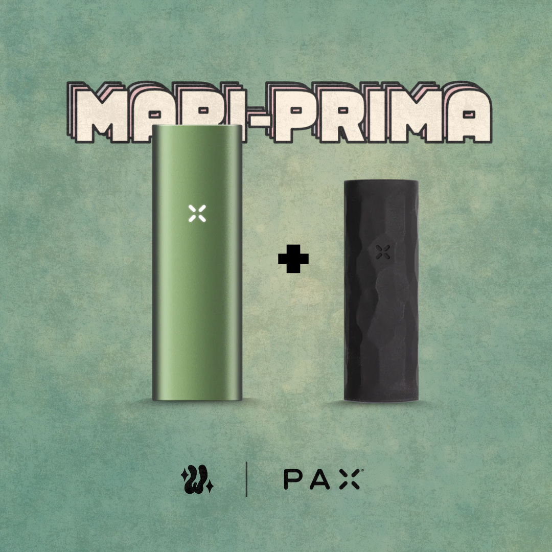 Kit Pax Mini + Funda en silicona | PAX