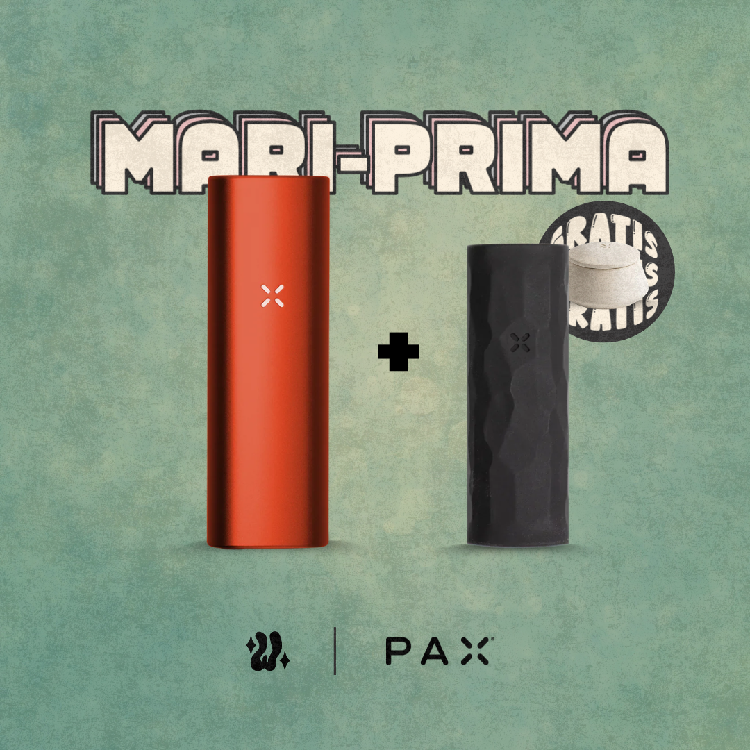 Kit Pax Mini + Funda en silicona | PAX