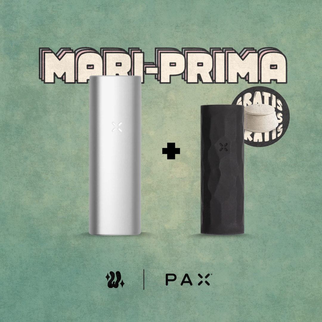 Kit Pax Mini + Funda en silicona | PAX