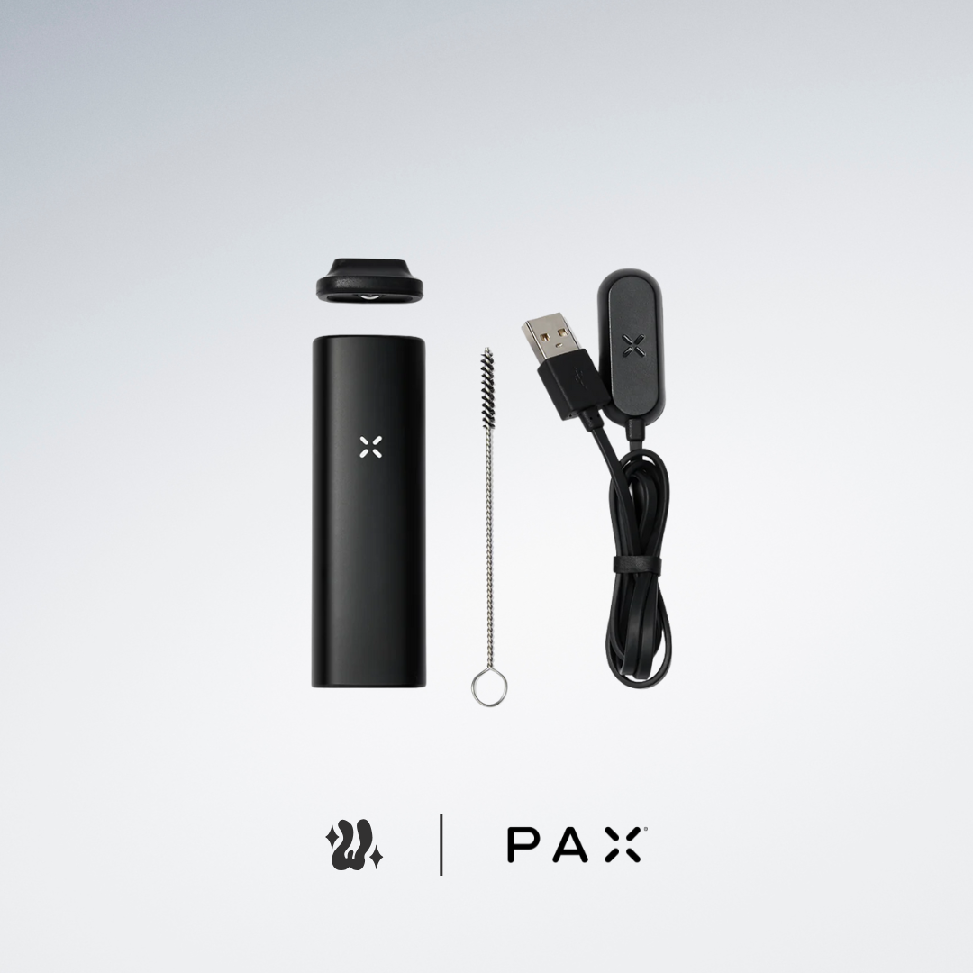 Pax Mini Vaporizador Herbal 