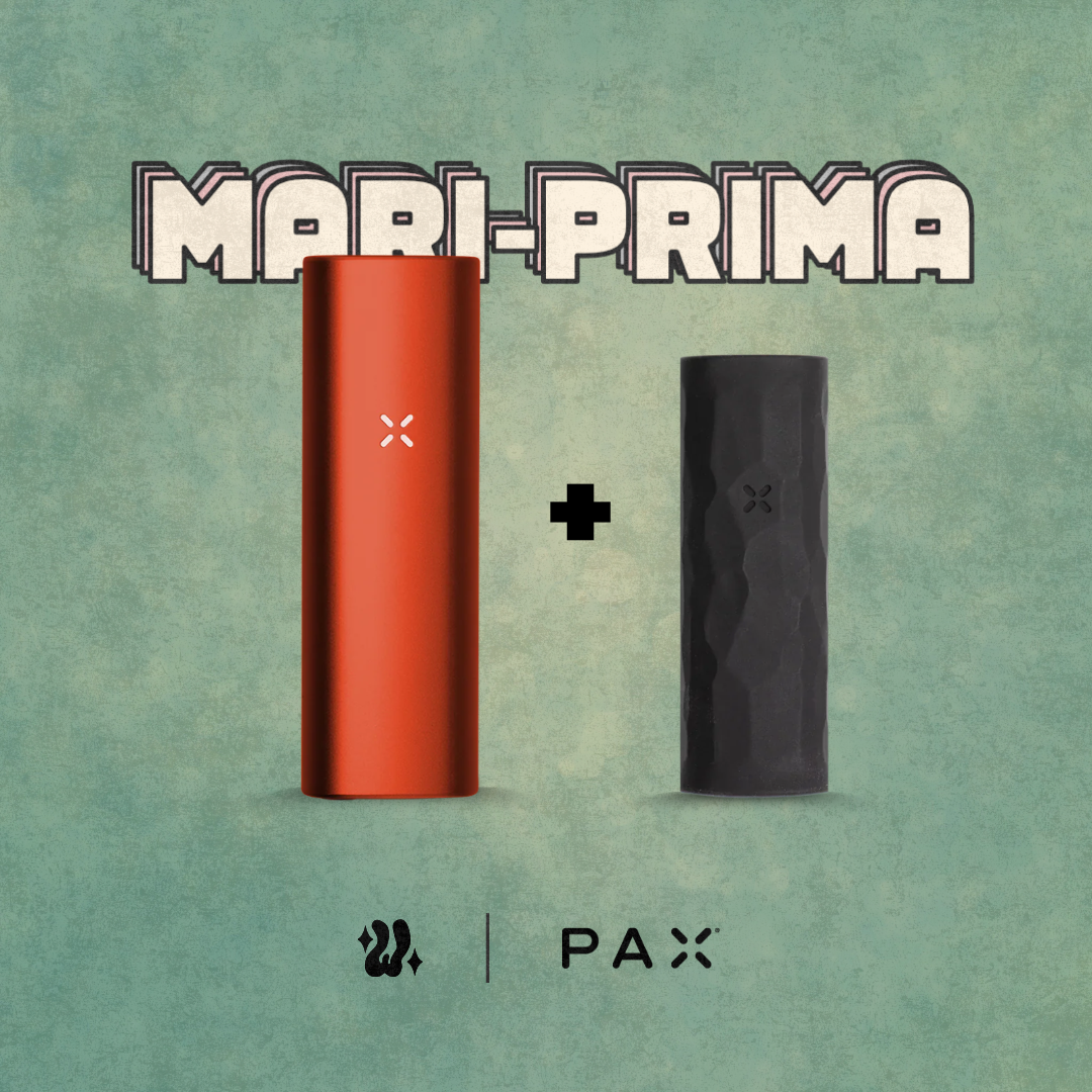 Kit Pax Mini + Funda en silicona | PAX