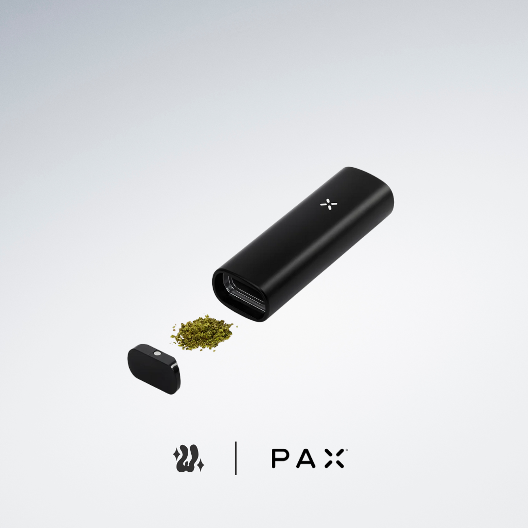 Pax Mini Vaporizador Herbal 