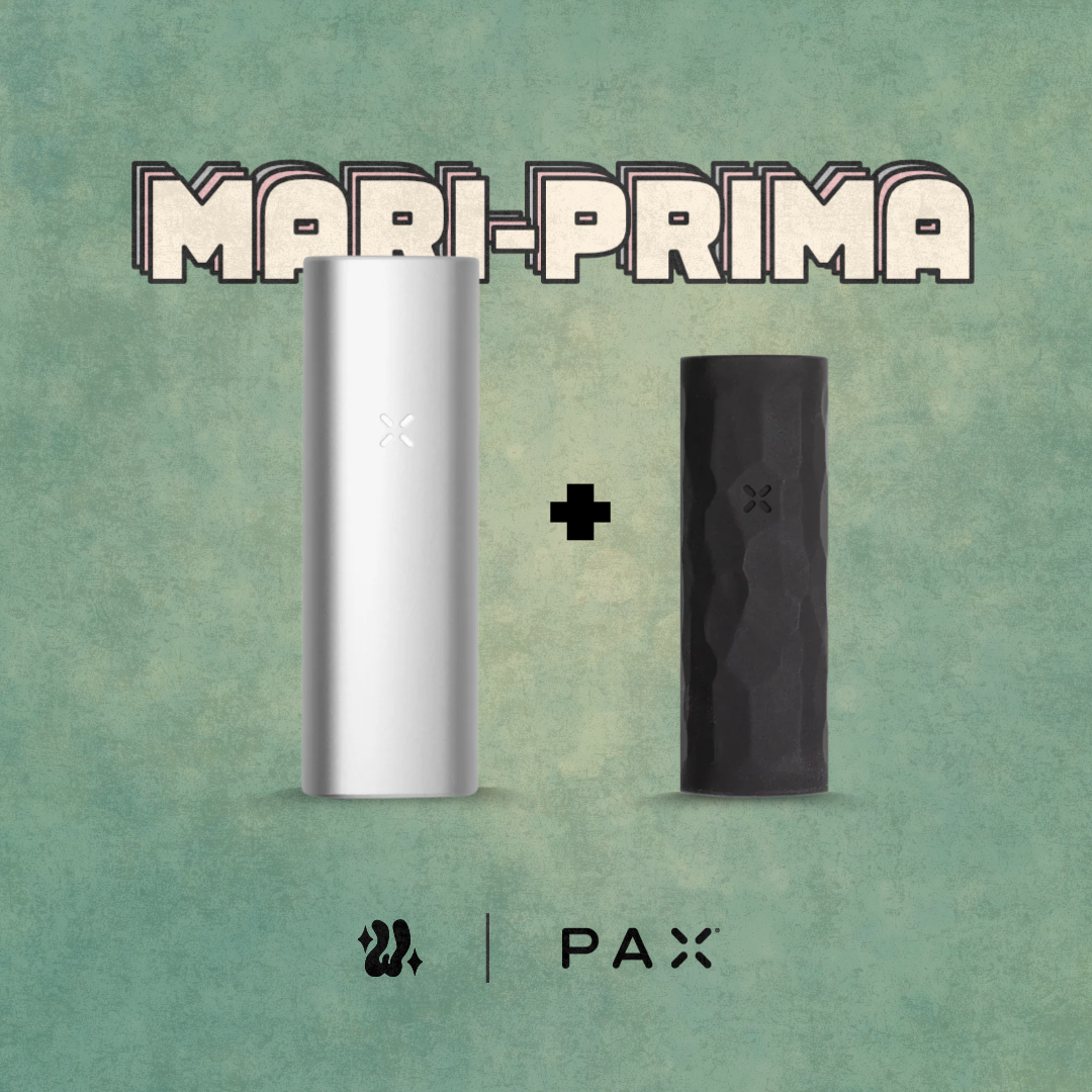 Kit Pax Mini + Funda en silicona | PAX