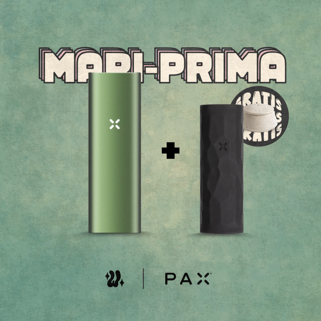 Kit Pax Mini + Funda en silicona | PAX